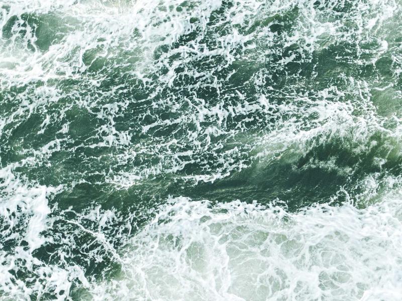 community screenshot 2